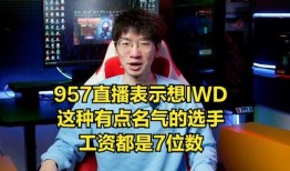 苏弟直播爆料最新消息,揭秘娱乐圈幕后风云